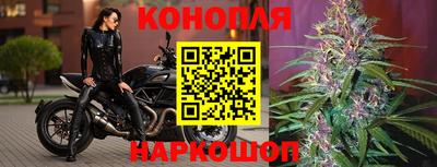 гидропоника Кунгур
