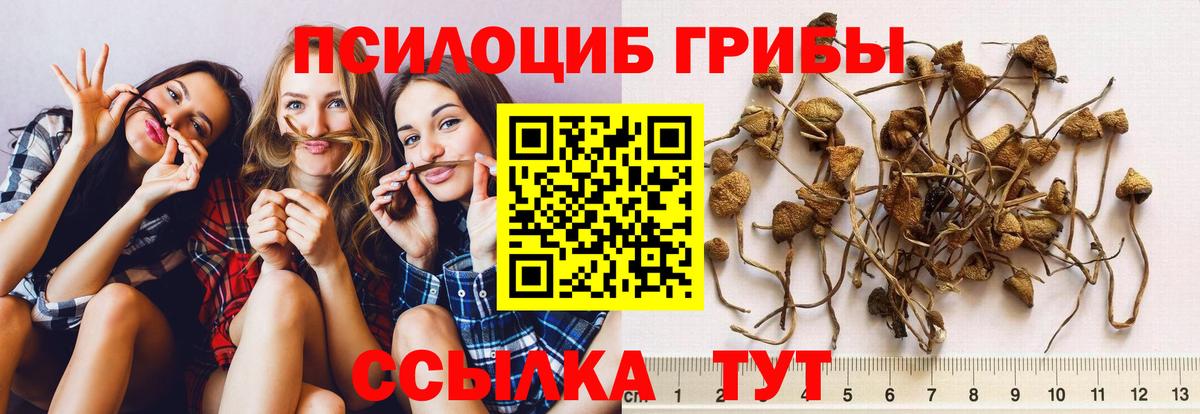Галлюциногенные грибы Cubensis  Вход с VPN  Ипатово 
